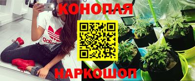 гашик Краснокаменск