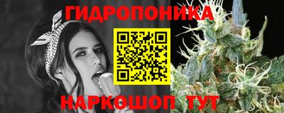 PSILOCYBIN Краснодар