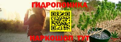 PSILOCYBIN Краснодар