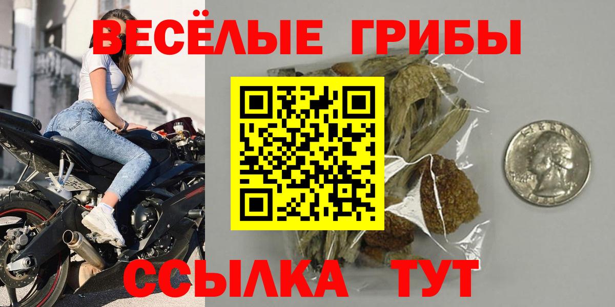Псилоцибиновые грибы мицелий  Вход с VPN  хочу   Краснодар 