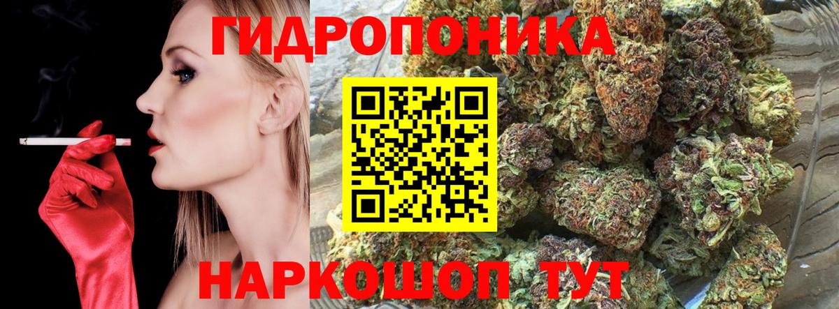 Марихуана планчик  МАРИХУАНА сатива  Вход с VPN  МАРИХУАНА MAZAR  Краснодар 